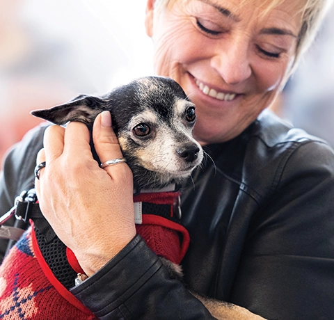 woman holds a chihuahua wearing a red sweater