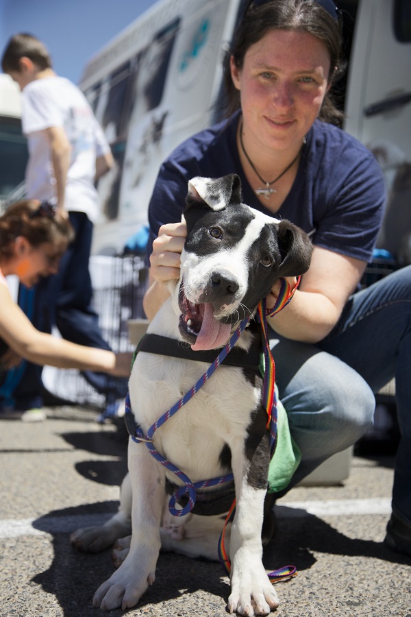 PetSmart Charities grants for animal transport