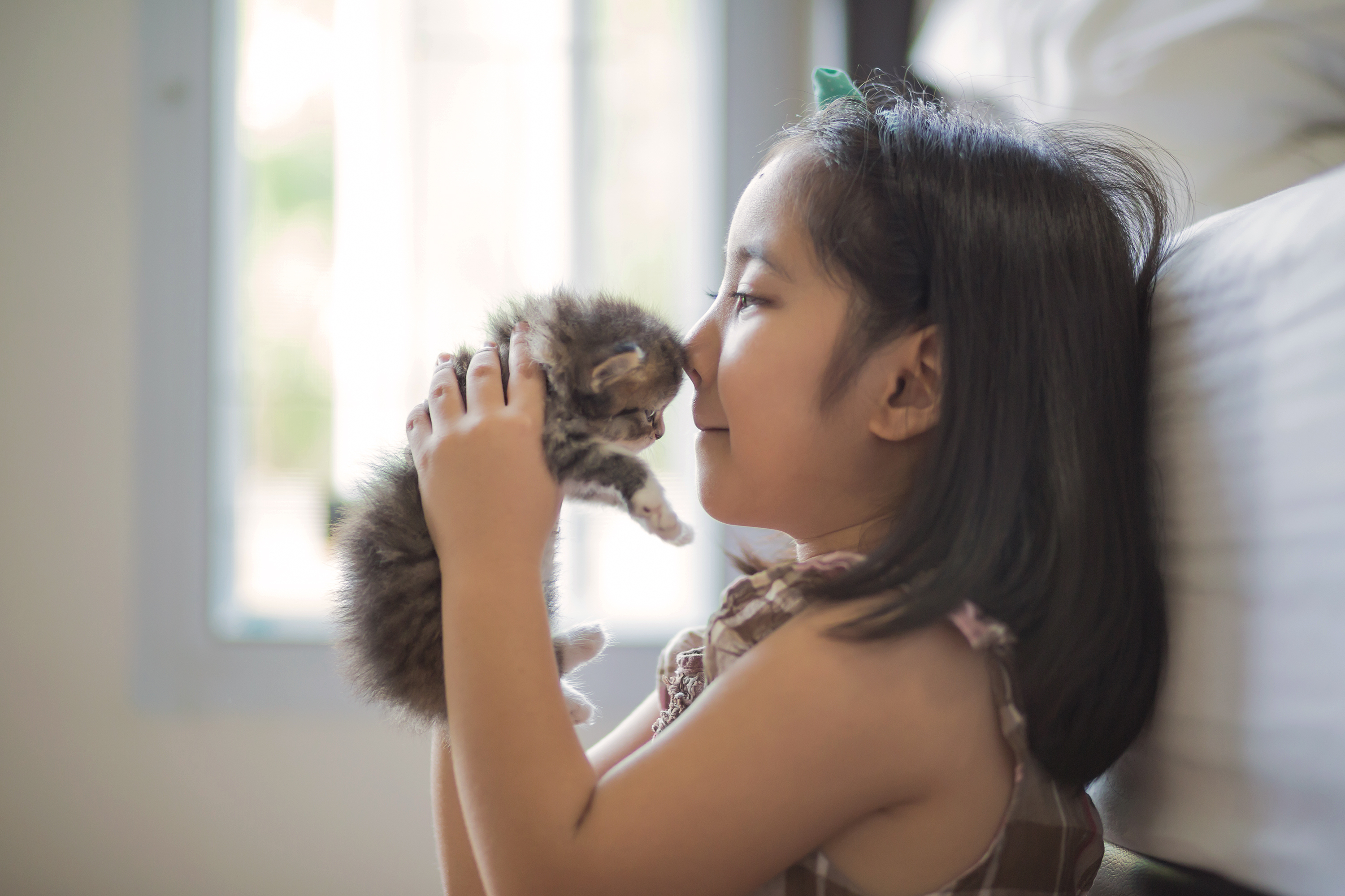 Young Girl with kitten