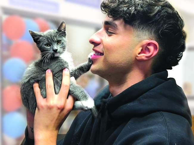 Kitten Season and NAW